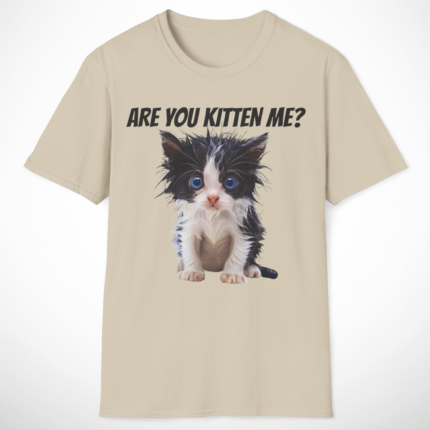 Are You Kitten Me T-Shirt