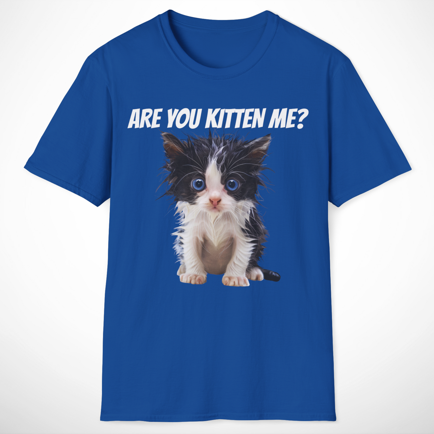 Are You Kitten Me T-Shirt