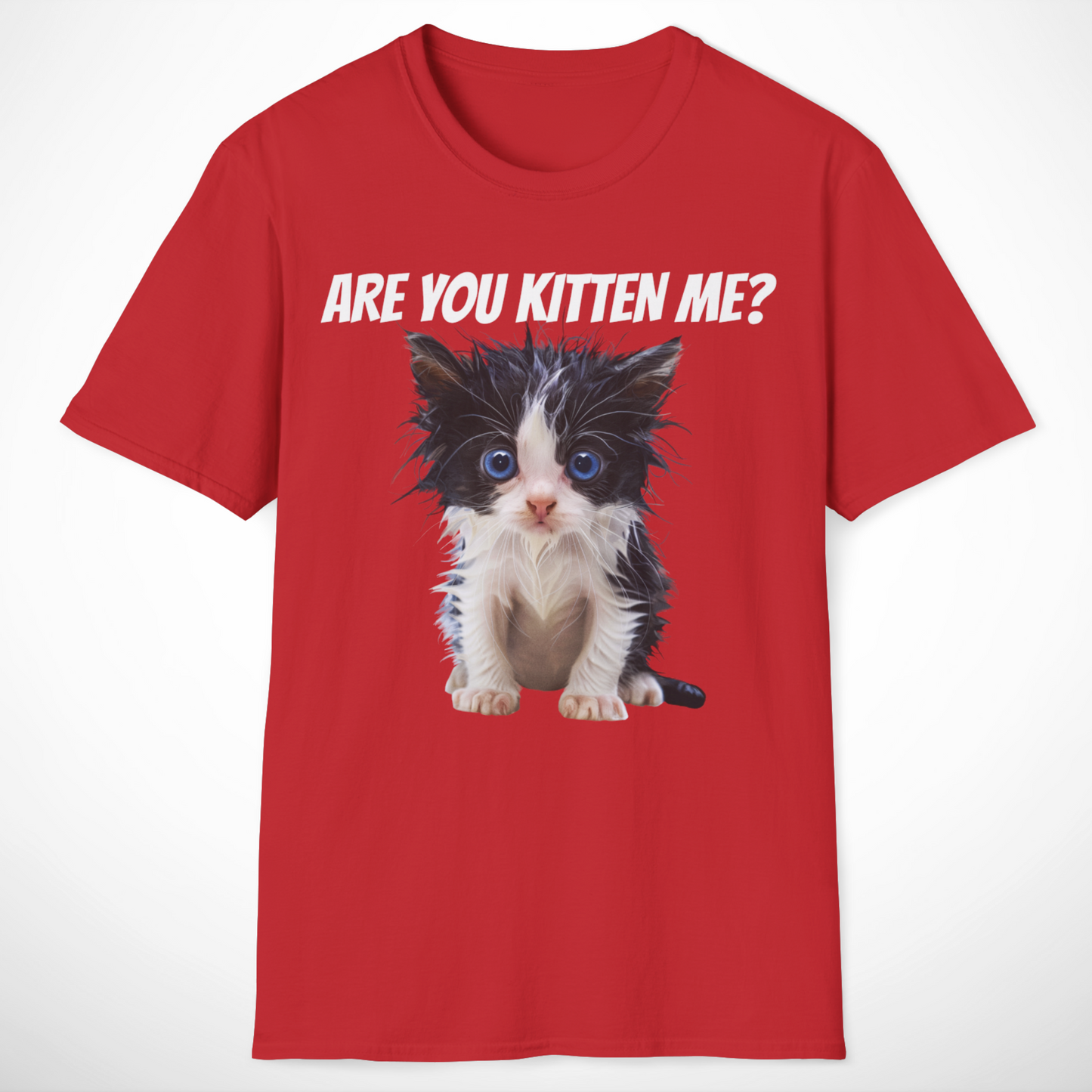 Are You Kitten Me T-Shirt