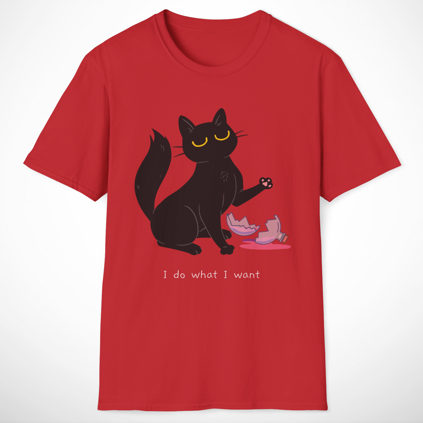 I Do What I Want T-Shirt