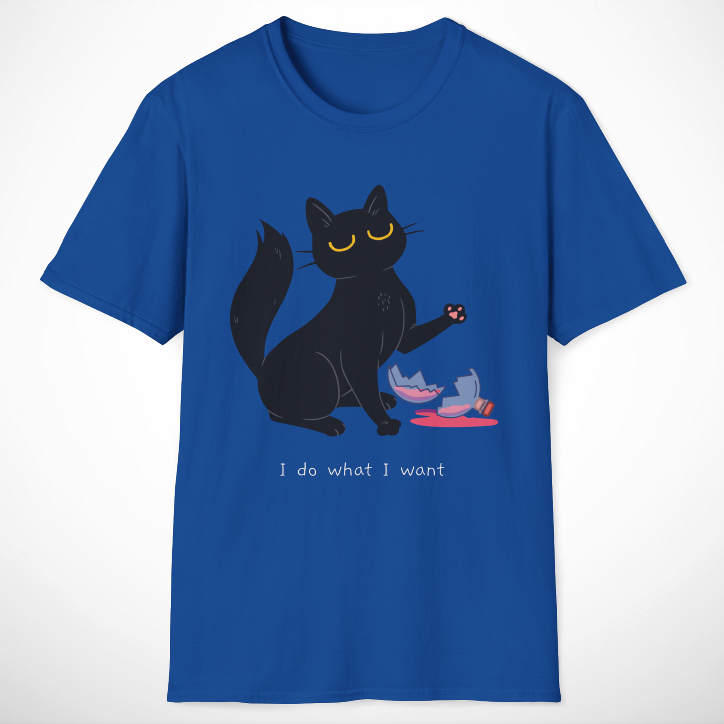 I Do What I Want T-Shirt