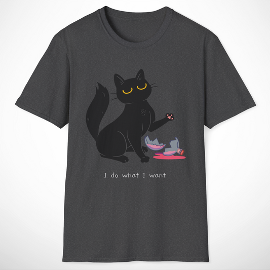 I Do What I Want T-Shirt